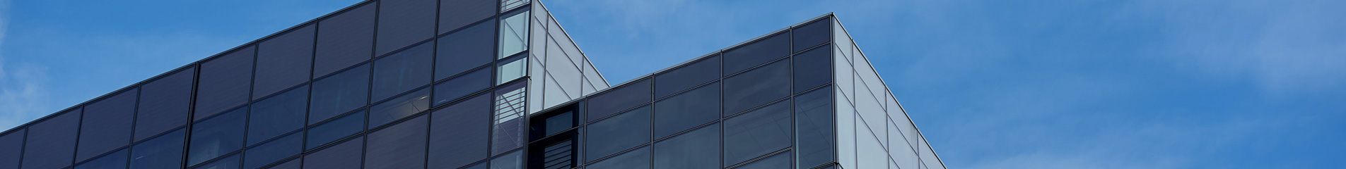 Company Profile